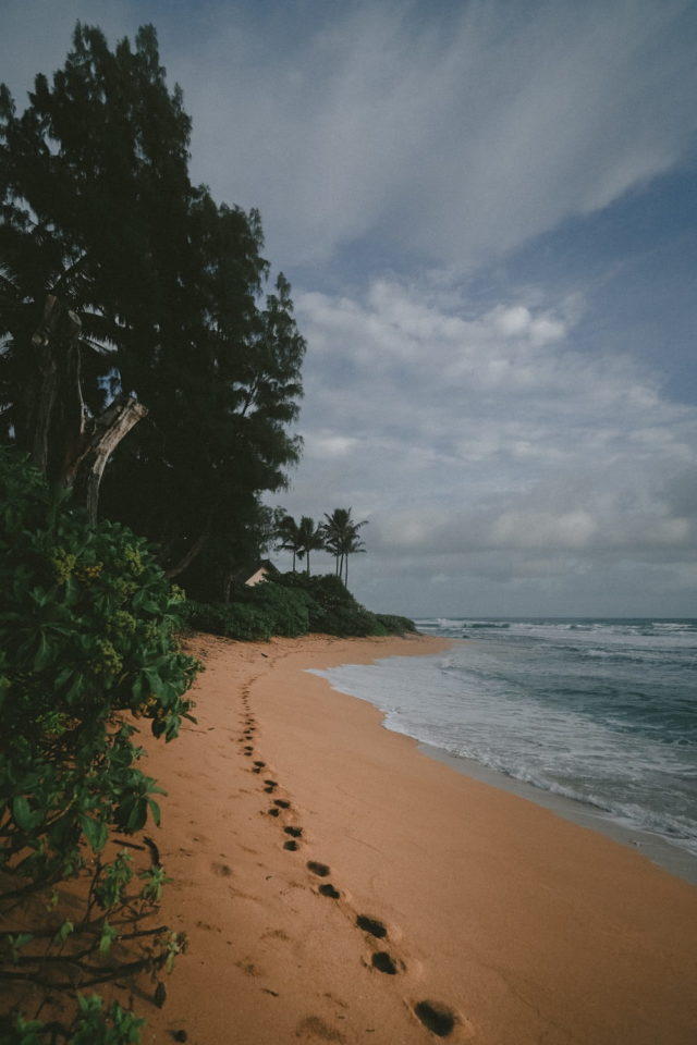 Unique Tropical Landscapes & Seascapes Of Kauai Island, Hawaii – Design ...