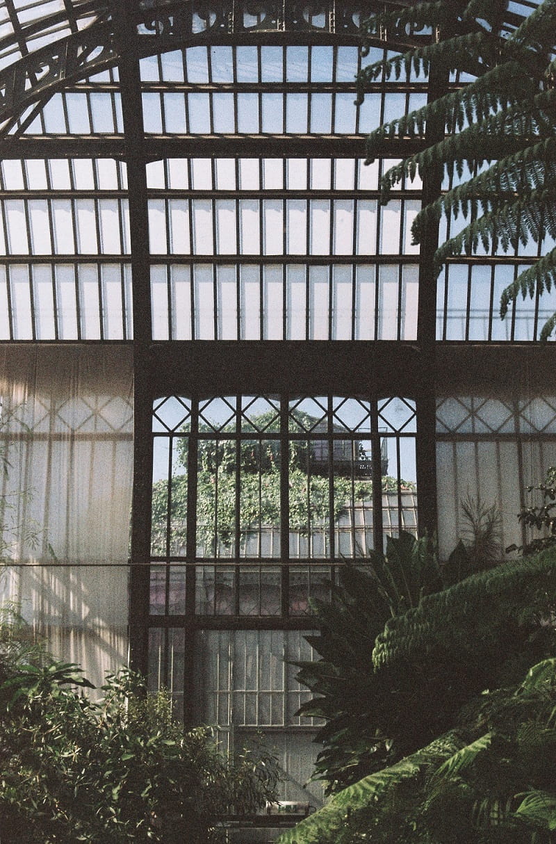 Jardin des Plantes, Paris, France - Photographer Sara Bugoloni Botanical Gardens & Tropical Plants Photography