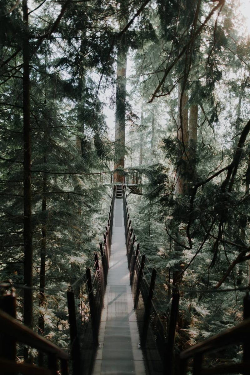 Capilano Suspension Bridge, West Vancouver, Canada - Photographer Ivana Cajina North America's West Coast Landscapes
