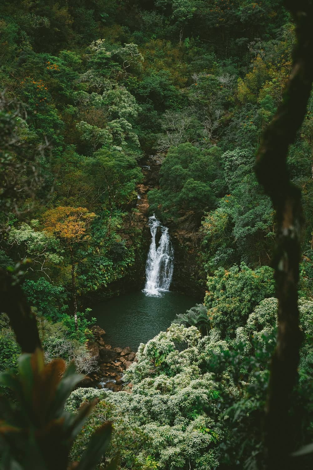 Maui Waterfall, Hawaii - Photographer Jakob Owens