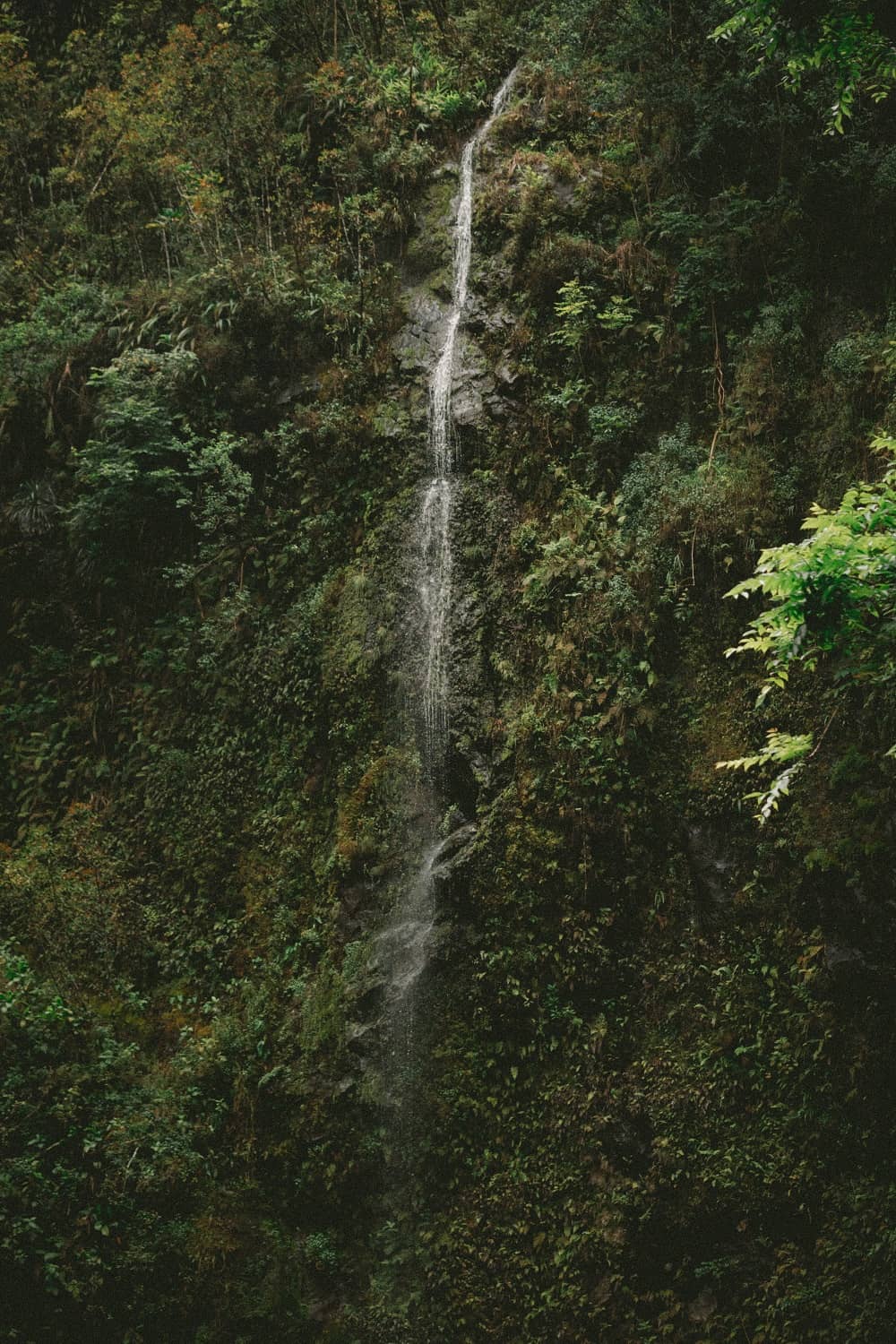 Maui Waterfalls, Hawaii, United States - Photographer Jakob Owens