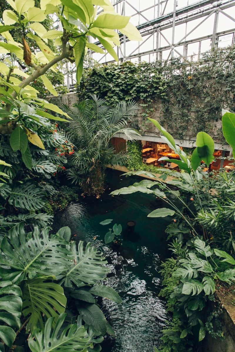 Yumenoshima Tropical Greenhouse, Tokyo, Japan - Photography by Haarkon