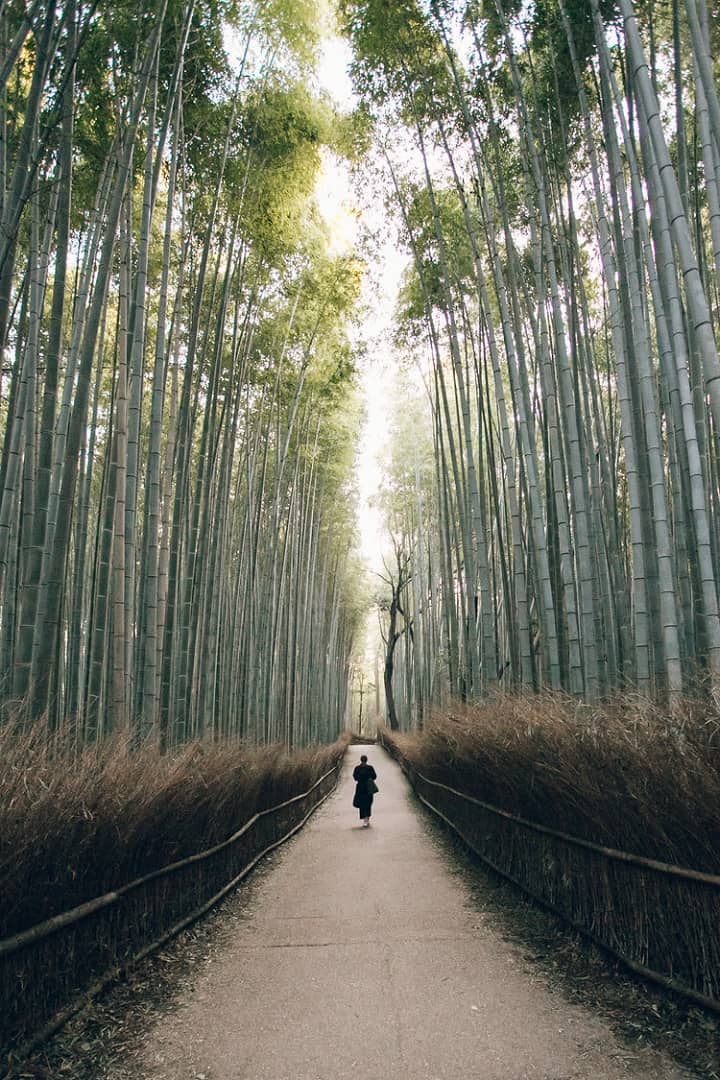 Arashiyama, Kyoto, Japan