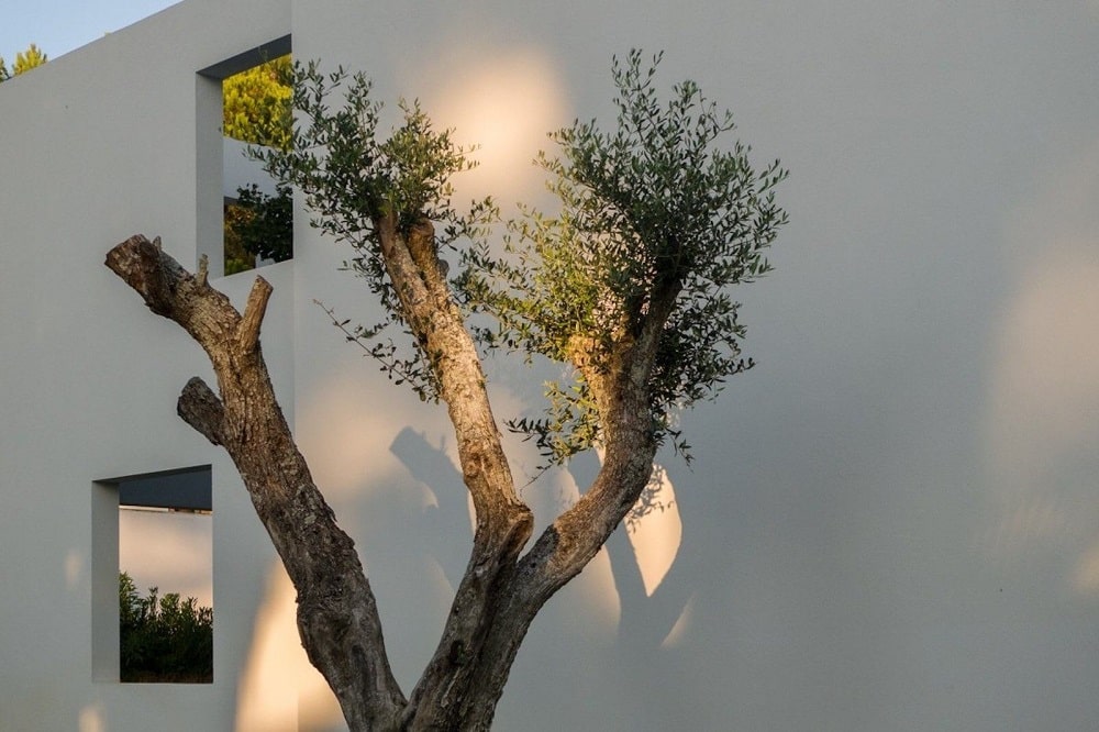 Project: House In Troia. Landscape Design: Viviana Rodrigues. Location: Grandola, Setubal, Portugal 