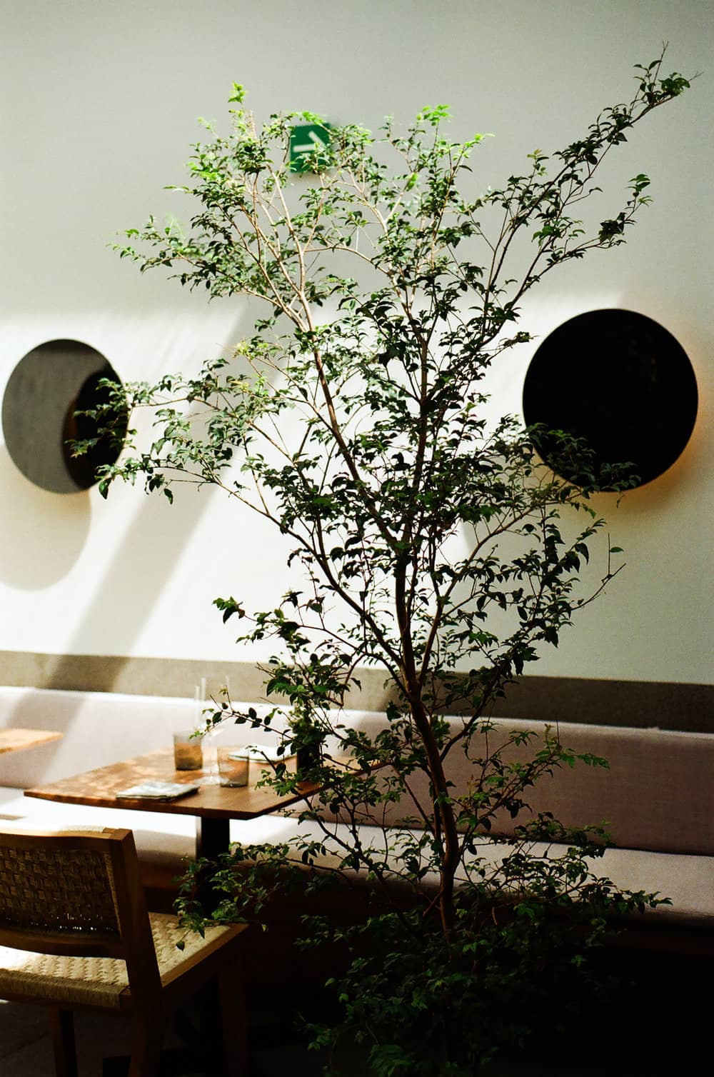 Pujol Restaurant in Mexico City photographed by Pia Riverola - Travel ...