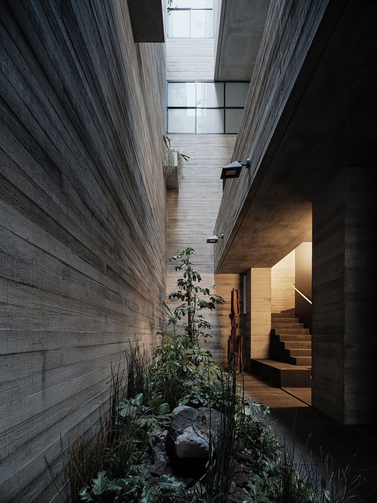 Project: Tennyson 205. Architects: Studio Rick Joy. Landscape Architects: Entorno Taller de Paisaje. Location: Mexico City, Mexico. Photographer: Joe Fletcher
