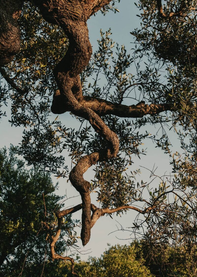 Masseria Moroseta photographed by Salva Lopez