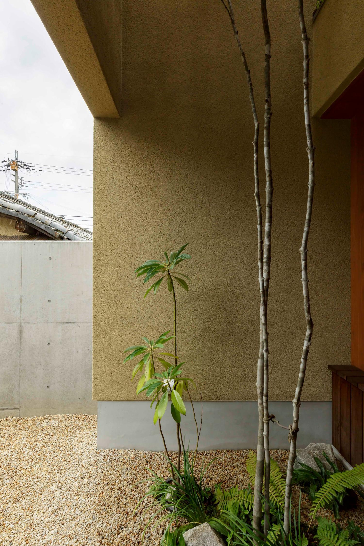 Japanese House with Integrated Planted Trees by Hearth Architects