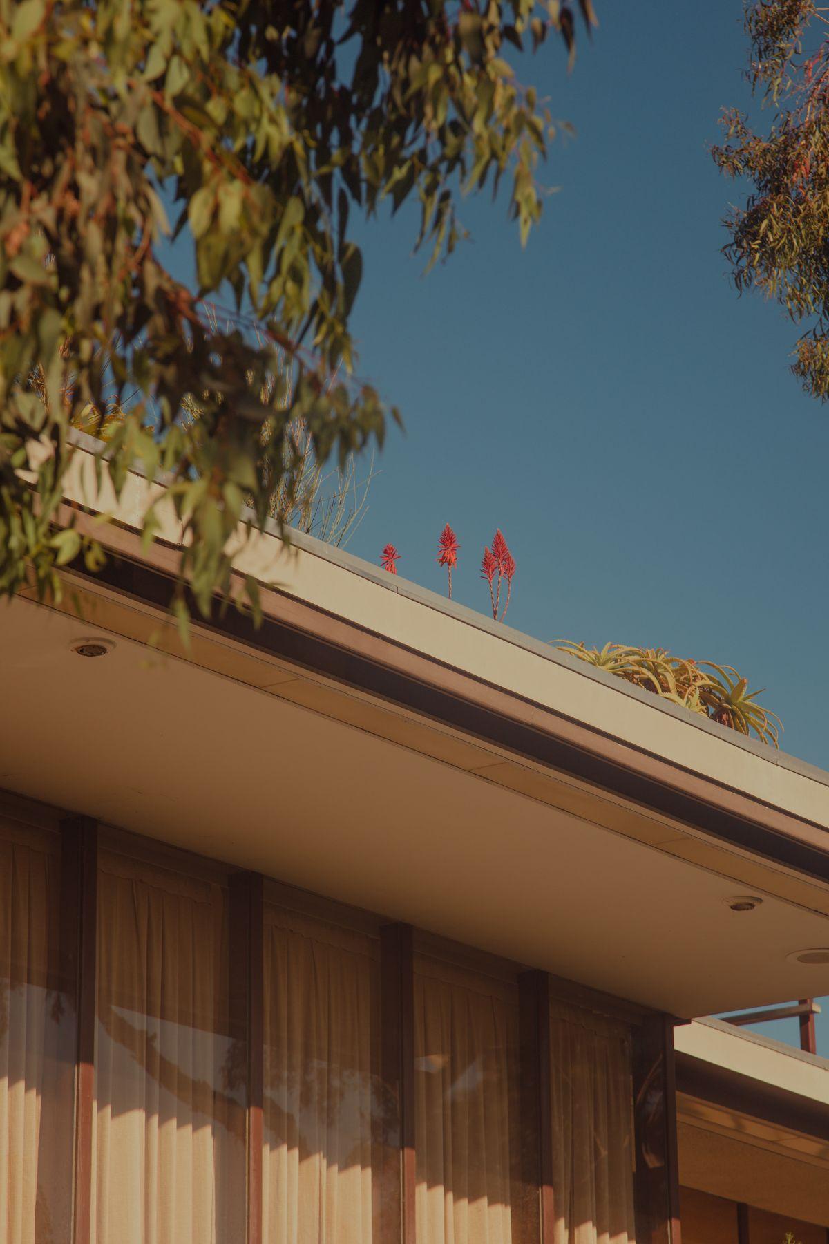 Neutra VDL Research House II in Los Angeles photographed by Franck Bohbot